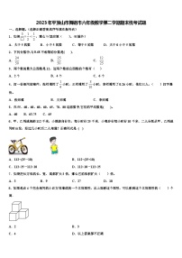 2023年平顶山市舞钢市六年级数学第二学期期末统考试题含解析