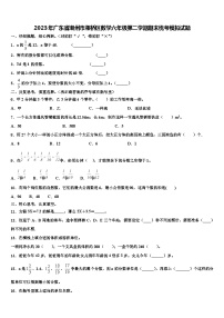 2023年广东省潮州市湘桥区数学六年级第二学期期末统考模拟试题含解析