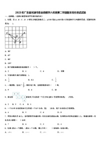 2023年广东省河源市紫金县数学六年级第二学期期末综合测试试题含解析