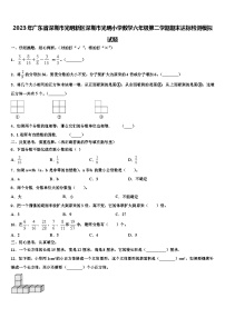 2023年广东省深圳市光明新区深圳市光明小学数学六年级第二学期期末达标检测模拟试题含解析