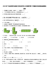 2023年广东省深圳市龙岗区万科实验学校六年级数学第二学期期末质量跟踪监视模拟试题含解析