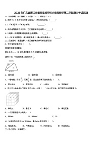 2023年广东省湛江市雷阳实验学校六年级数学第二学期期末考试试题含解析