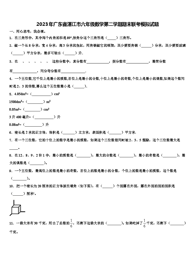 2023年广东省湛江市六年级数学第二学期期末联考模拟试题含解析01
