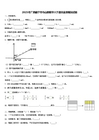 2023年广西南宁市马山县数学六下期末监测模拟试题含解析