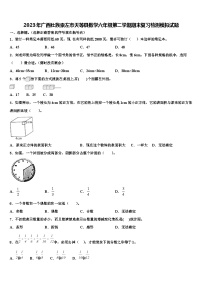 2023年广西壮族崇左市天等县数学六年级第二学期期末复习检测模拟试题含解析