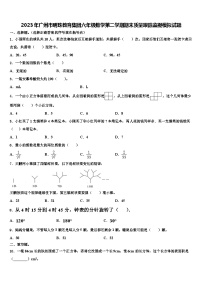 2023年广州市明珠教育集团六年级数学第二学期期末质量跟踪监视模拟试题含解析