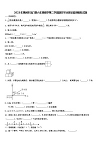 2023年惠州市龙门县六年级数学第二学期期末学业质量监测模拟试题含解析