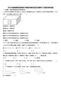 2023年新疆维吾尔新疆生产建设兵团可克达拉市数学六下期末统考试题含解析