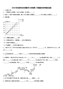 2023年松原市扶余县数学六年级第二学期期末统考模拟试题含解析