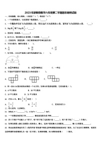 2023年新蔡县数学六年级第二学期期末调研试题含解析