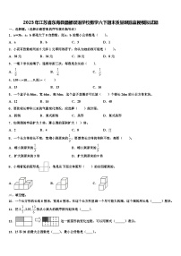 2023年江苏省东海县晶都双语学校数学六下期末质量跟踪监视模拟试题含解析