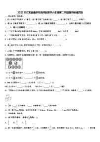 2023年江苏省南京市高淳区数学六年级第二学期期末调研试题含解析