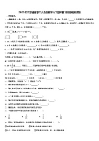 2023年江苏省南京市六合区数学六下期末复习检测模拟试题含解析