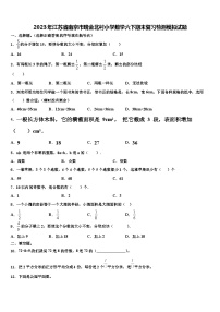 2023年江苏省南京市瑞金北村小学数学六下期末复习检测模拟试题含解析