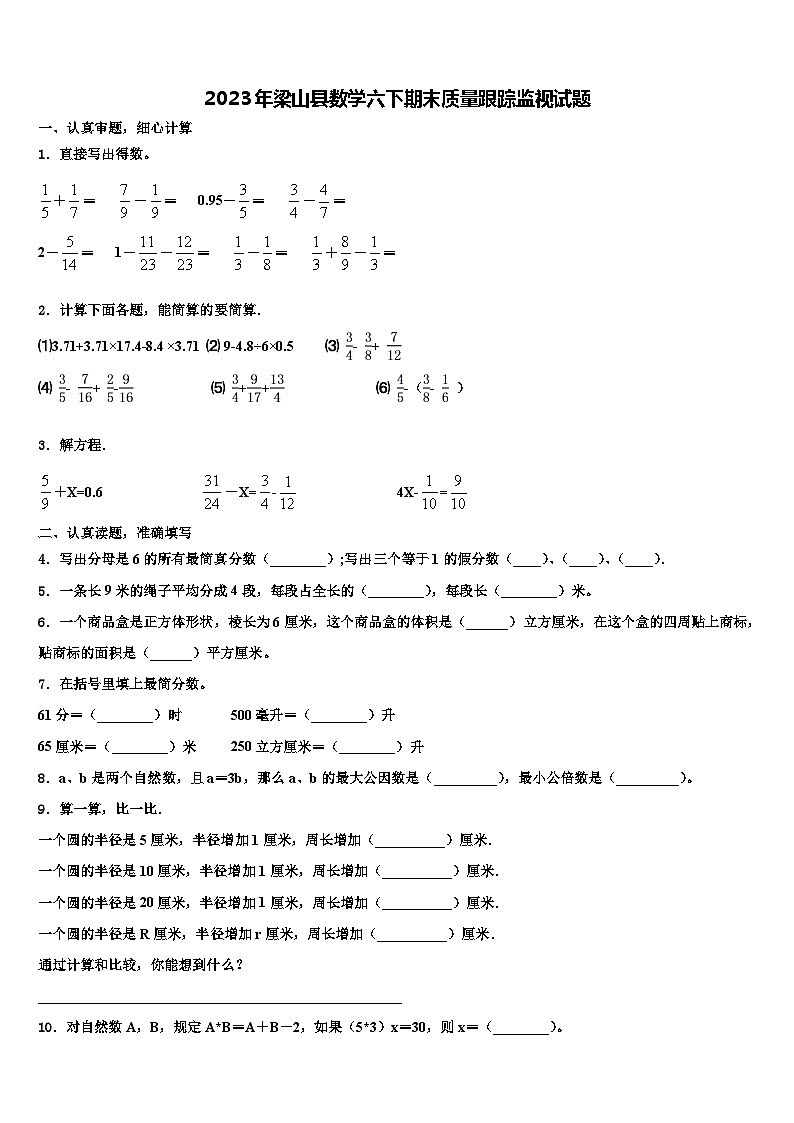2023年梁山县数学六下期末质量跟踪监视试题含解析第1页