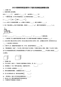 2023年柳州市柳北区数学六下期末质量跟踪监视模拟试题含解析