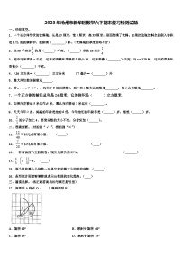 2023年沧州市新华区数学六下期末复习检测试题含解析