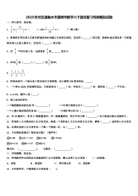 2023年河北省衡水市冀州市数学六下期末复习检测模拟试题含解析