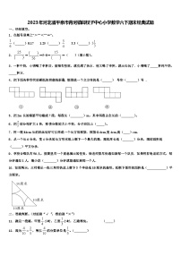 2023年河北省平泉市青河镇闫杖子中心小学数学六下期末经典试题含解析