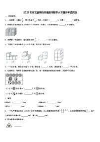 2023年河北省邢台市南宫市数学六下期末考试试题含解析