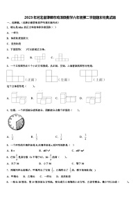 2023年河北省邯郸市鸡泽县数学六年级第二学期期末经典试题含解析