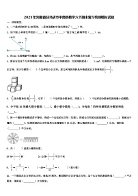 2023年河南省驻马店市平舆县数学六下期末复习检测模拟试题含解析