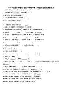 2023年河南省洛阳市洛龙区六年级数学第二学期期末综合测试模拟试题含解析