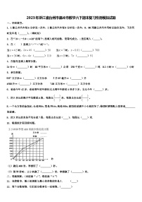 2023年浙江省台州市温岭市数学六下期末复习检测模拟试题含解析