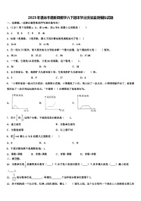 2023年清远市清新县数学六下期末学业质量监测模拟试题含解析