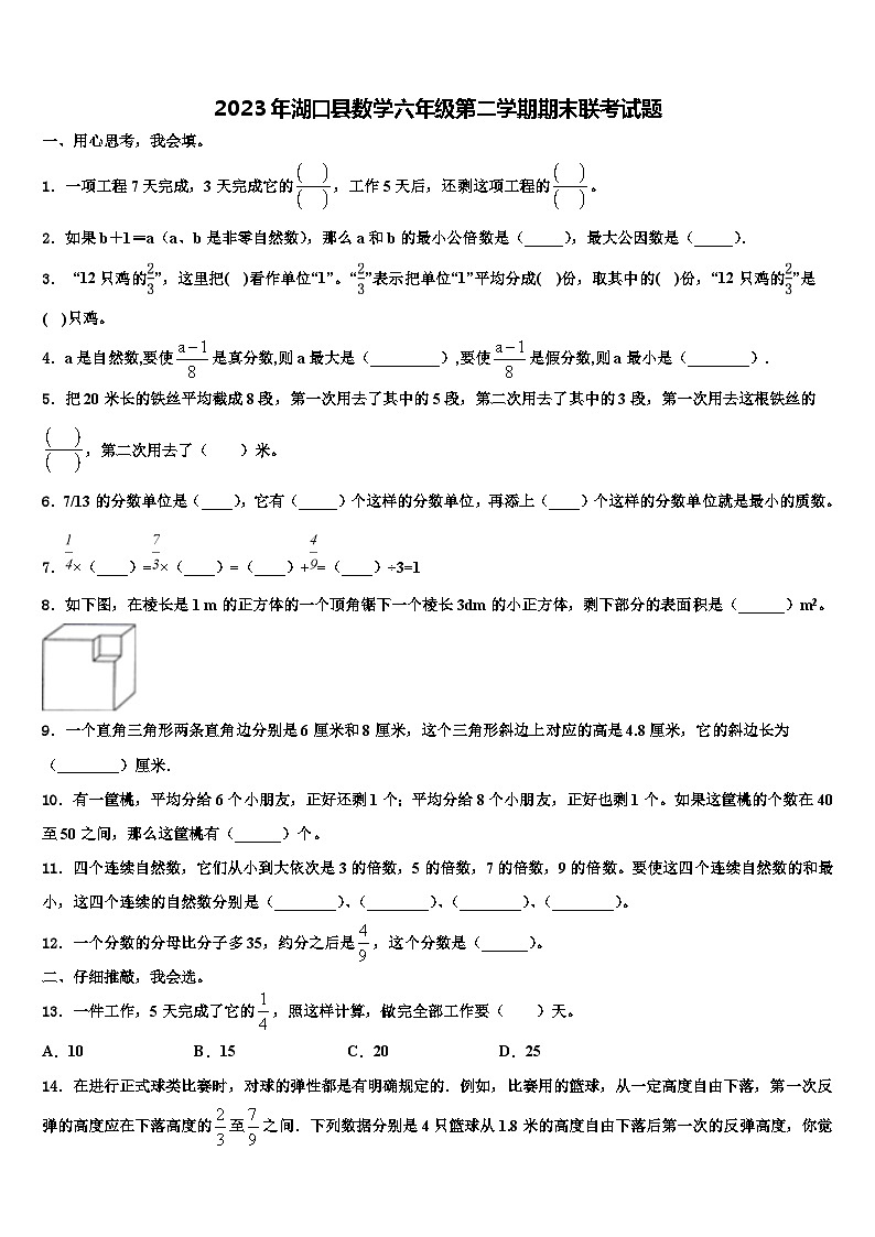 2023年湖口县数学六年级第二学期期末联考试题含解析第1页