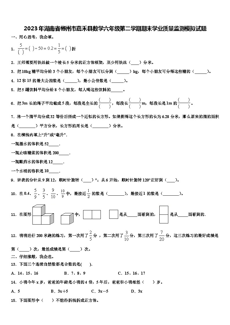 2023年湖南省郴州市嘉禾县数学六年级第二学期期末学业质量监测模拟试题含解析第1页
