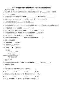 2023年湖南省邵阳市北塔区数学六下期末质量检测模拟试题含解析