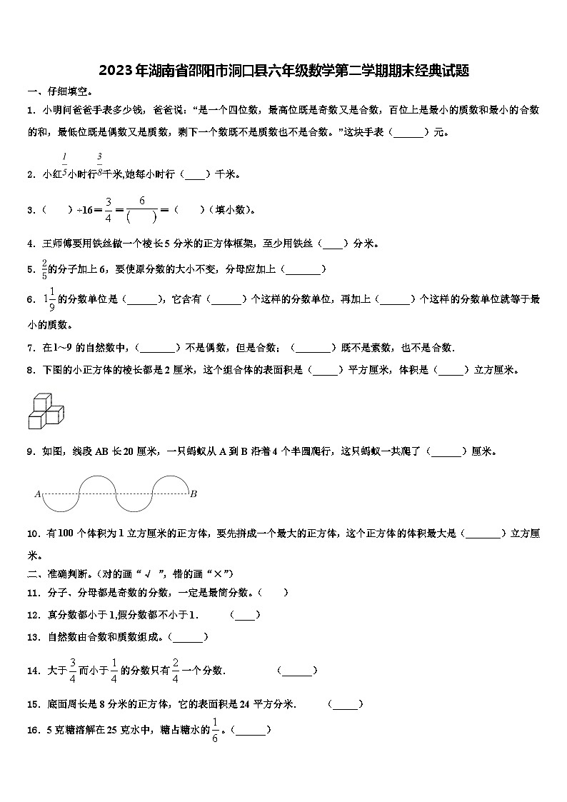 2023年湖南省邵阳市洞口县六年级数学第二学期期末经典试题含解析01