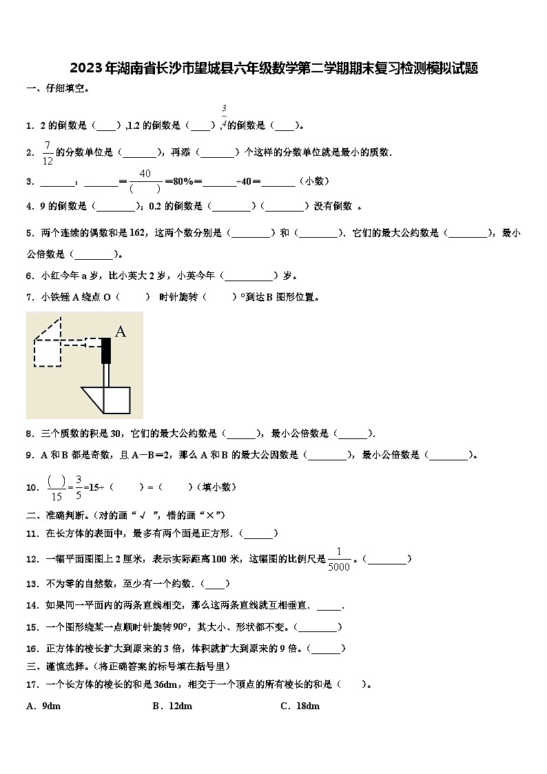 2023年湖南省长沙市望城县六年级数学第二学期期末复习检测模拟试题含解析01