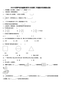 2023年葫芦岛市南票区数学六年级第二学期期末检测模拟试题含解析