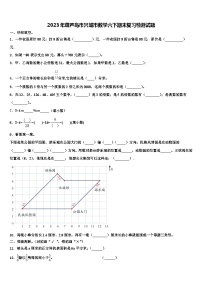 2023年葫芦岛市兴城市数学六下期末复习检测试题含解析