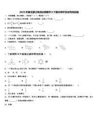 2023年肃北蒙古族自治县数学六下期末教学质量检测试题含解析