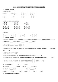 2023年苏尼特左旗六年级数学第二学期期末调研试题含解析