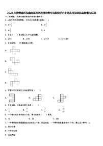 2023年贵州省黔东南南苗族侗族自治州岑巩县数学六下期末质量跟踪监视模拟试题含解析