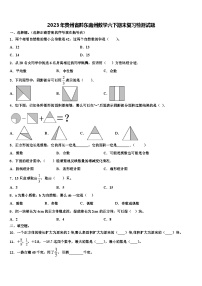 2023年贵州省黔东南州数学六下期末复习检测试题含解析