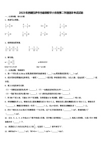 2023年西藏拉萨市当雄县数学六年级第二学期期末考试试题含解析