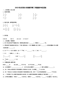 2023年贞丰县六年级数学第二学期期末考试试题含解析