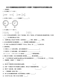 2023年西藏那曲地区聂荣县数学六年级第二学期期末教学质量检测模拟试题含解析