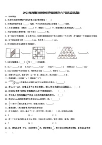 2023年西藏日喀则地区萨嘎县数学六下期末监测试题含解析