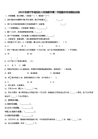 2023年西宁市城东区六年级数学第二学期期末检测模拟试题含解析