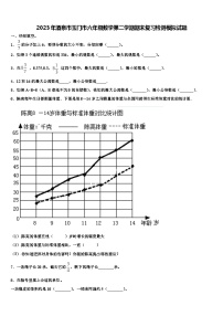 2023年酒泉市玉门市六年级数学第二学期期末复习检测模拟试题含解析