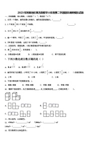 2023年阿里地区革吉县数学六年级第二学期期末调研模拟试题含解析