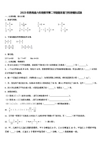 2023年青海省六年级数学第二学期期末复习检测模拟试题含解析