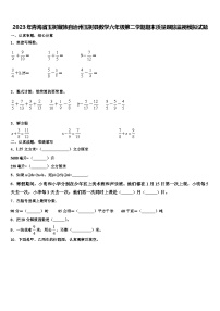 2023年青海省玉树藏族自治州玉树县数学六年级第二学期期末质量跟踪监视模拟试题含解析