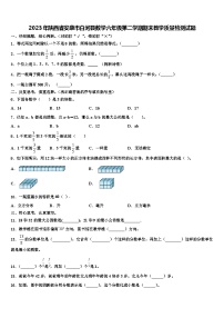 2023年陕西省安康市白河县数学六年级第二学期期末教学质量检测试题含解析